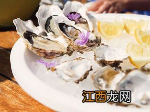 牡蛎怎么做好吃有营养价值