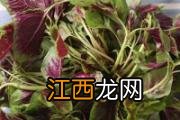 斑节对虾的功效与作用 斑节对虾的营养价值