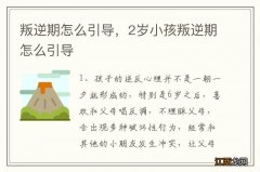 叛逆期怎么引导，2岁小孩叛逆期怎么引导