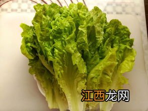 墨西哥面饼可以怎么做