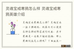 灵魂宝戒寒鸦怎么样 灵魂宝戒寒鸦英雄介绍