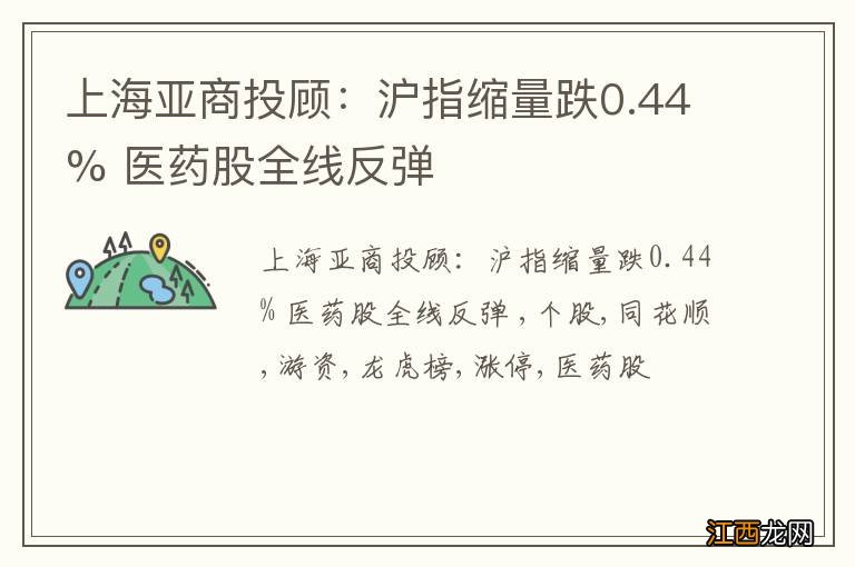 上海亚商投顾：沪指缩量跌0.44% 医药股全线反弹