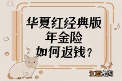 华夏红经典版怎么返钱？