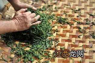 茶叶原料太粗怎么揉捻