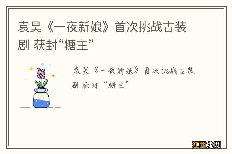 袁昊《一夜新娘》首次挑战古装剧 获封“糖主”