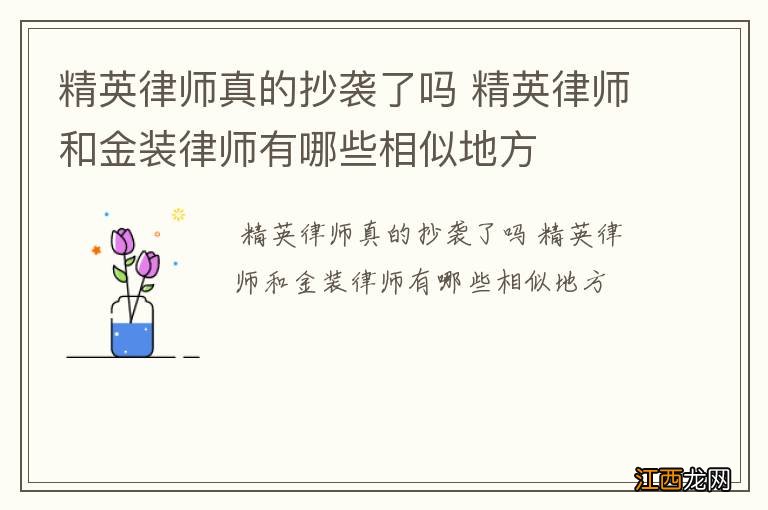 精英律师真的抄袭了吗 精英律师和金装律师有哪些相似地方