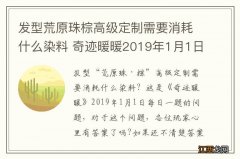 发型荒原珠棕高级定制需要消耗什么染料 奇迹暖暖2019年1月1日每日一题