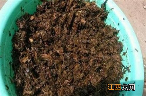 没有熬过的中药可以养花吗-中药渣怎么种花草