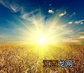 躲春白天可以见阳光吗-躲春白天可以晒太阳吗