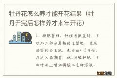 牡丹开完后怎样养才来年开花 牡丹花怎么养才能开花结果