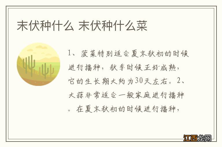 末伏种什么 末伏种什么菜