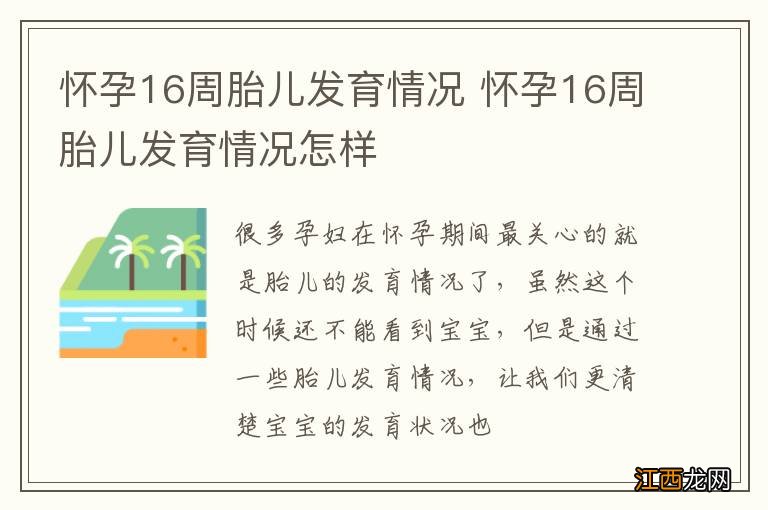 怀孕16周胎儿发育情况 怀孕16周胎儿发育情况怎样