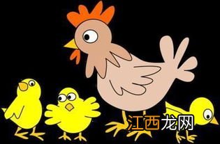 2022年除夕前出生的宝宝是属牛宝宝还是虎宝宝-除夕前生的孩子属什么