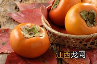 饭后多久吃柿子不算空腹-柿子一天吃多少合适
