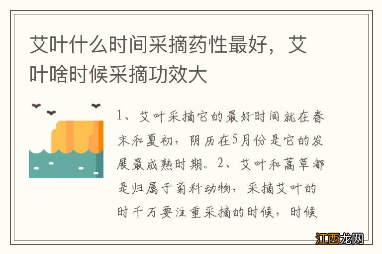 艾叶什么时间采摘药性最好，艾叶啥时候采摘功效大