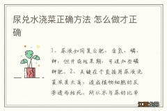 尿兑水浇菜正确方法 怎么做才正确