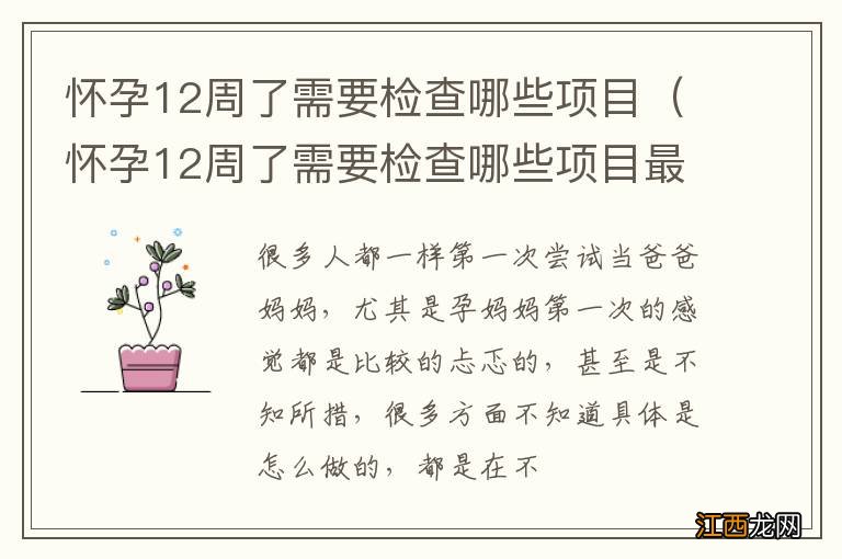 怀孕12周了需要检查哪些项目最准确 怀孕12周了需要检查哪些项目