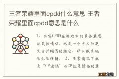 王者荣耀里面cpdd什么意思 王者荣耀里面cpdd意思是什么