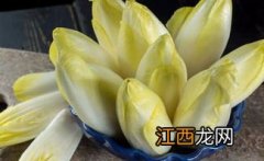 喝菊苣茶一个月尿酸反而高了为什么-尿酸不高可以喝菊苣栀子茶吗