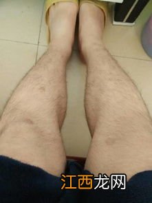 男人行不行看腿就知道有什么说法-男人腿上毛多意味着什么
