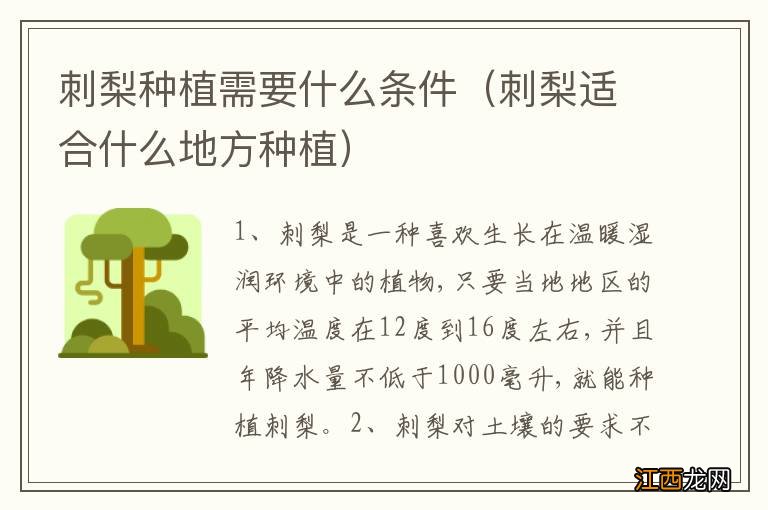 刺梨适合什么地方种植 刺梨种植需要什么条件