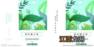 菊苣是什么样子图片-菊苣栀子茶有副作用吗