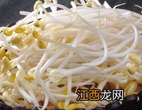 烂根豆芽能吃吗-豆芽为什么烂根