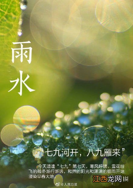 2022年雨水节气是哪一天-2022年雨水是星期几