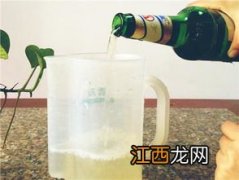 啤酒浇花是酸性还是碱性-啤酒养花怎么用