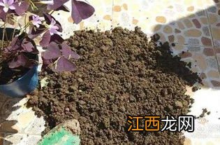 栽花的土壤怎样消毒-花土消毒用什么药