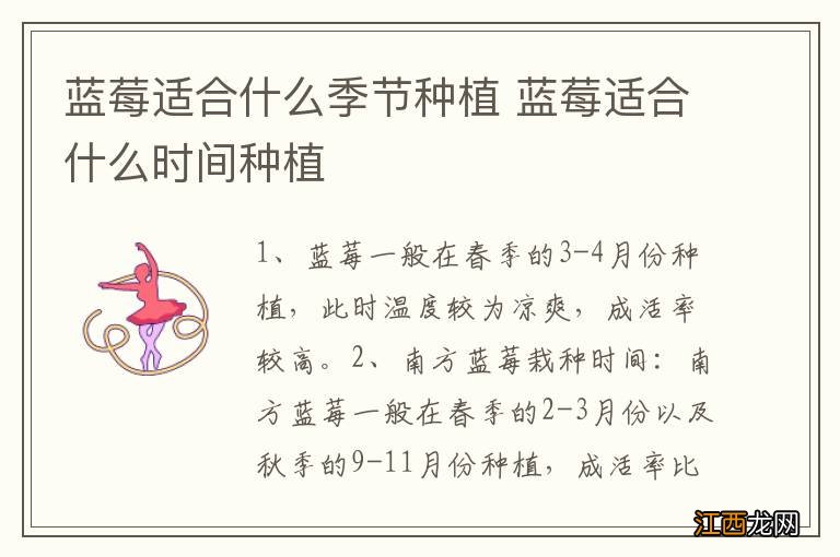蓝莓适合什么季节种植 蓝莓适合什么时间种植
