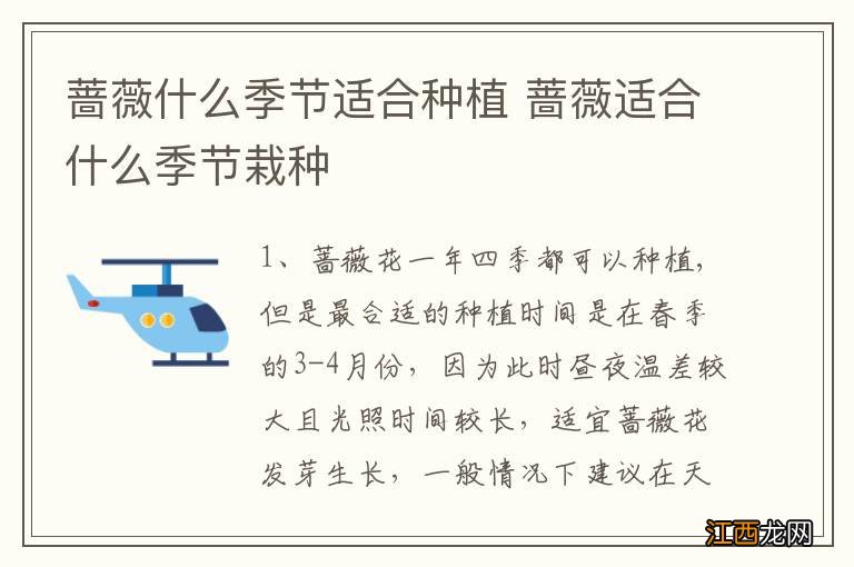 蔷薇什么季节适合种植 蔷薇适合什么季节栽种