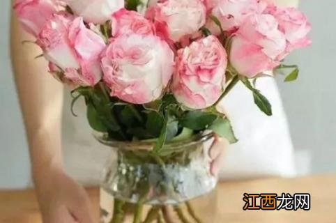 怎么醒花最简单的方法