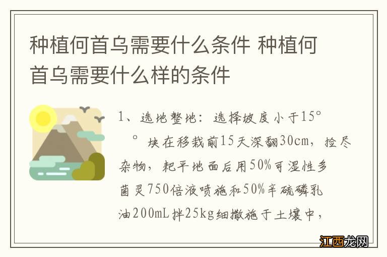 种植何首乌需要什么条件 种植何首乌需要什么样的条件