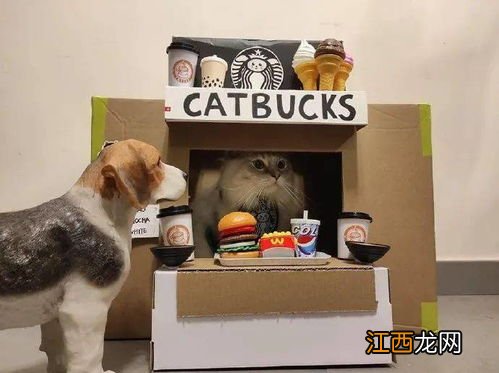 山姆会员超市可以带狗吗-山姆会员超市可以带猫吗