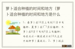 萝卜适合种植的时间和地方是什么 萝卜适合种植的时间和地方