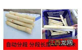 甘蔗皮能做什么-甘蔗皮能做肥料吗