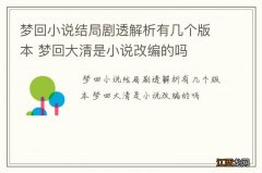 梦回小说结局剧透解析有几个版本 梦回大清是小说改编的吗