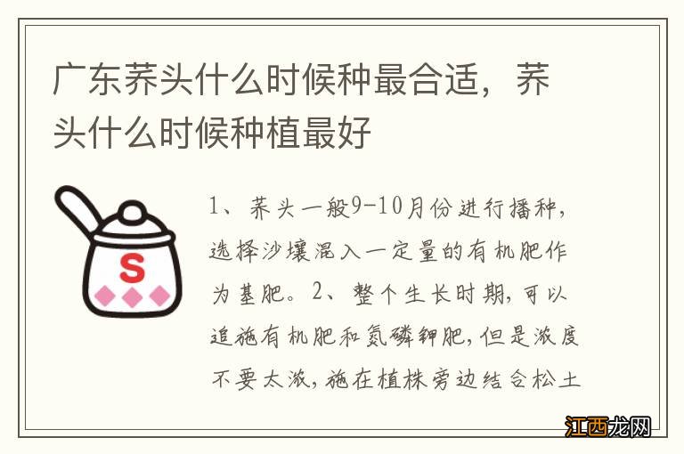 广东荞头什么时候种最合适，荞头什么时候种植最好