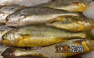 小黄鱼是不是很多刺-小黄鱼的刺吃下去没事吧