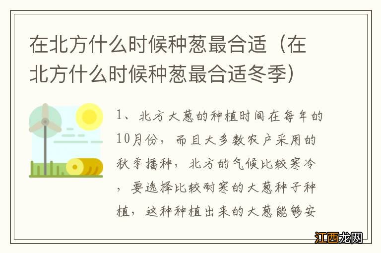 在北方什么时候种葱最合适冬季 在北方什么时候种葱最合适