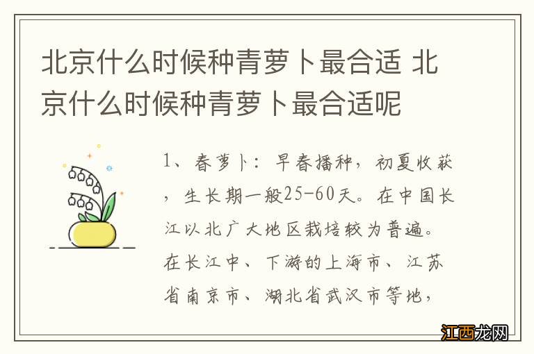 北京什么时候种青萝卜最合适 北京什么时候种青萝卜最合适呢