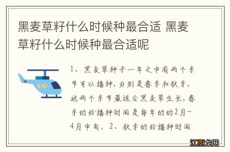 黑麦草籽什么时候种最合适 黑麦草籽什么时候种最合适呢