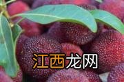 夏季绿豆汤可以放冰箱吗 绿豆汤放冰箱可以放几天