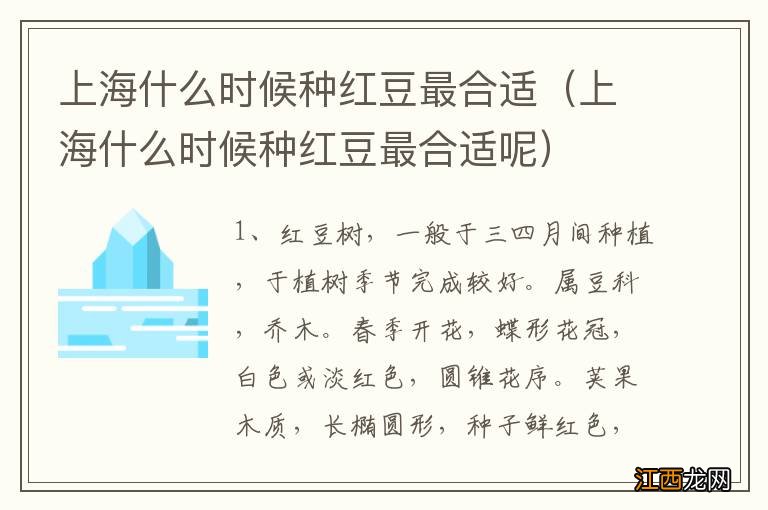 上海什么时候种红豆最合适呢 上海什么时候种红豆最合适