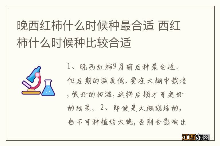 晚西红柿什么时候种最合适 西红柿什么时候种比较合适