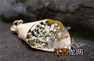 干花会不会枯萎-干花怎么才能不掉