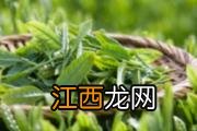 6个小秘诀让你的皮肤保持健康