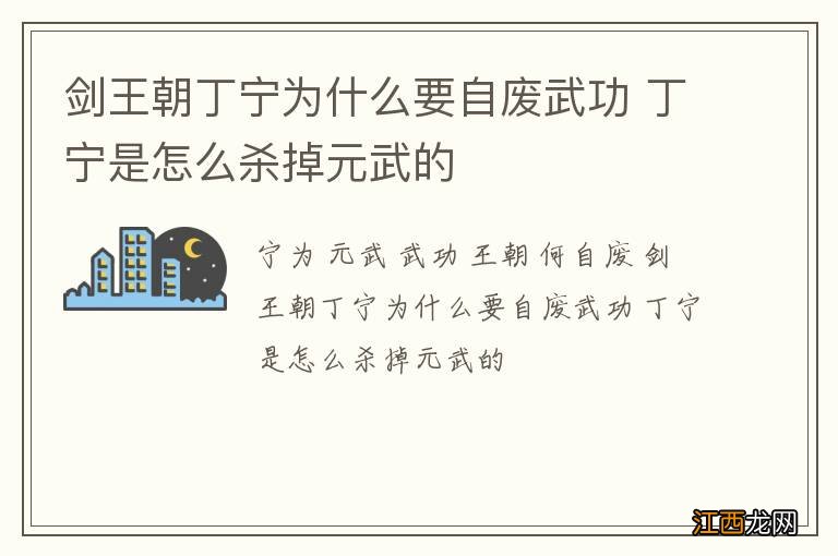 剑王朝丁宁为什么要自废武功 丁宁是怎么杀掉元武的