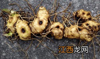 黄精什么季节种植 黄精适合哪个季节种植